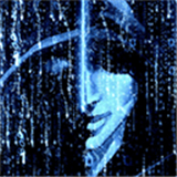 2024最新火爆手AG旗舰厅平台游单机排行榜-2024好用的软件排行榜-游戏鸟手游网(图46)